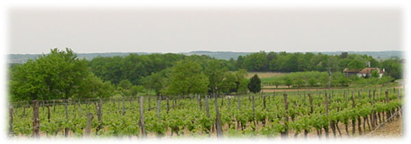 Weingut Château Chavrignac
