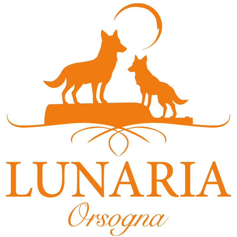 Olearia di Vinicola Orsogna